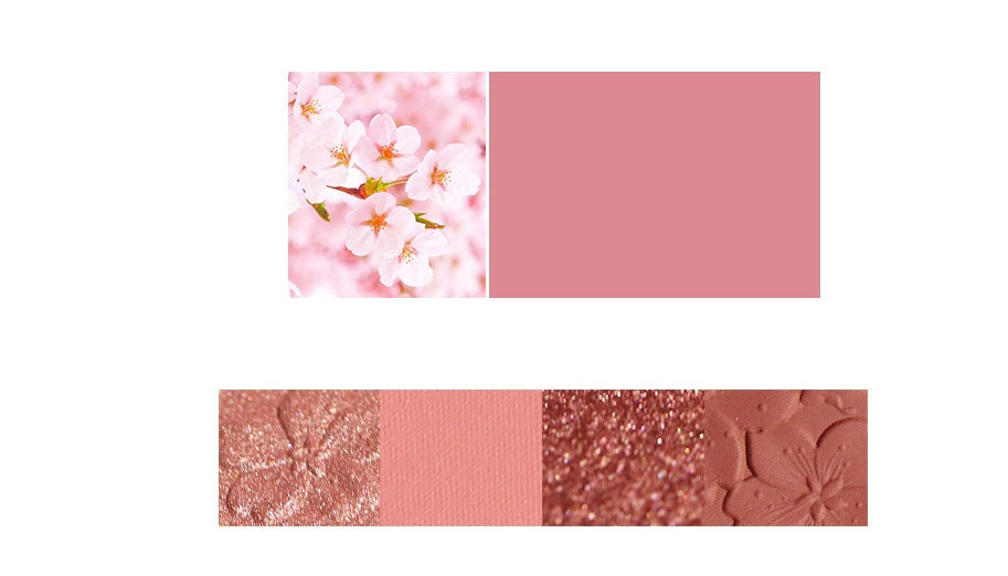 พาเลตต์อายแชโดว์ NOVO | NOVO Eyeshadow Palette