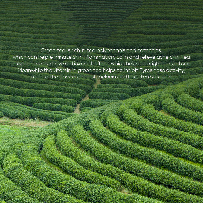 โทนเนอร์ชาเขียว | Green Tea Toner
