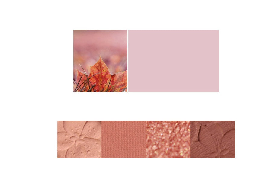 พาเลตต์อายแชโดว์ NOVO | NOVO Eyeshadow Palette