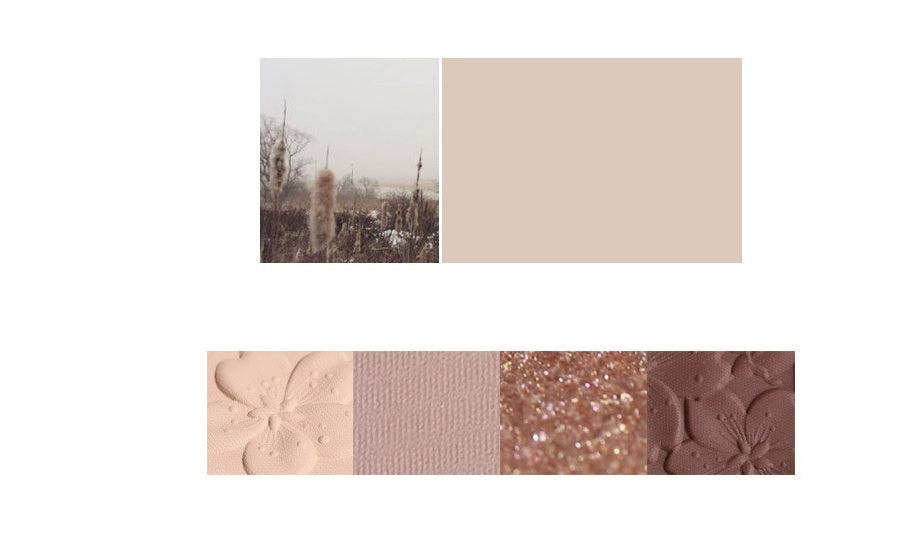 พาเลตต์อายแชโดว์ NOVO | NOVO Eyeshadow Palette